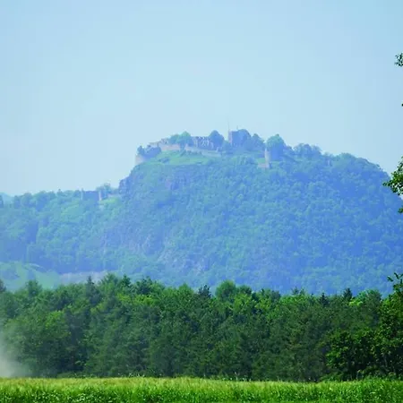 Gemuetliches Zuhause Fuehlen アパート *